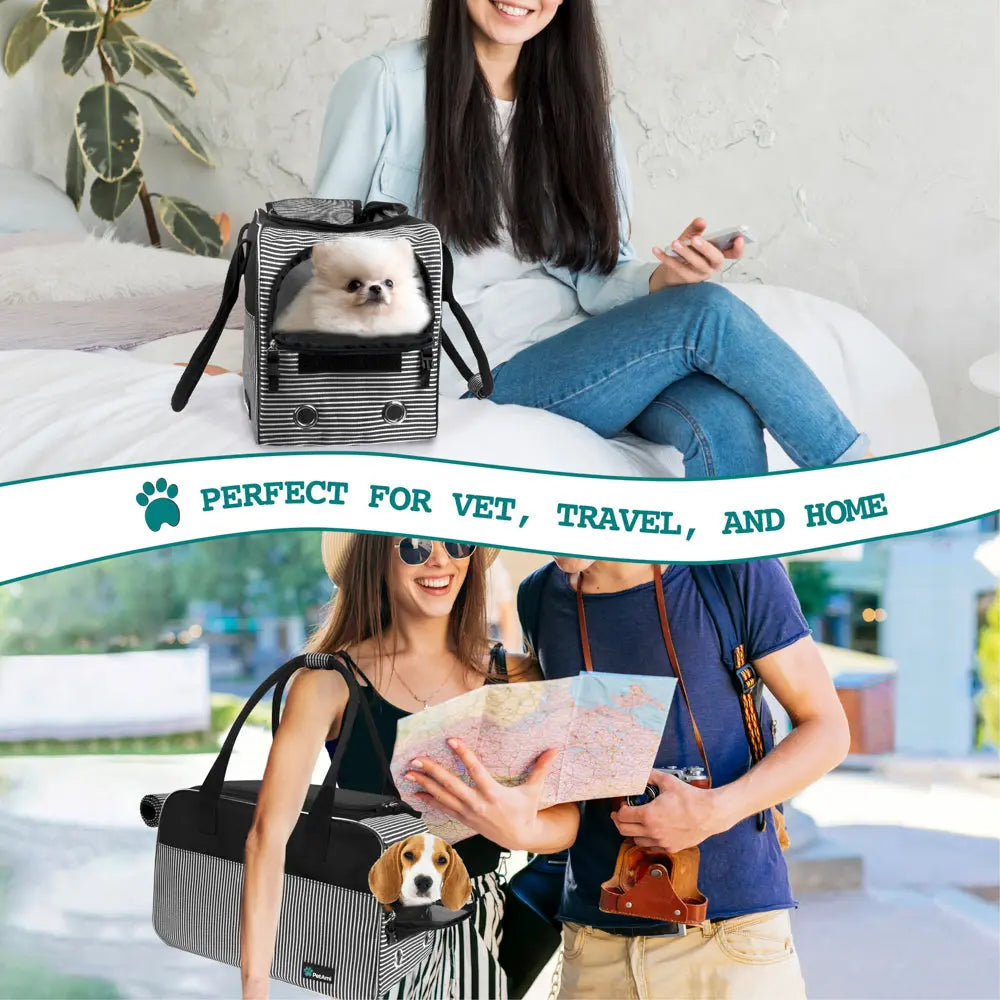 Stylish Handbag Purse Pet Carrier