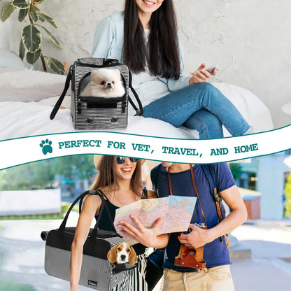 Stylish Handbag Purse Pet Carrier