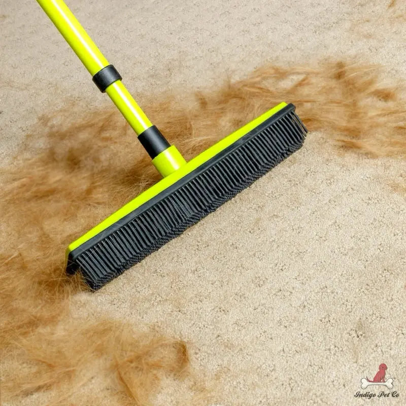 Pet Hair Removal Broom