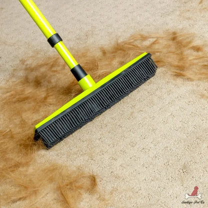 Pet Hair Removal Broom